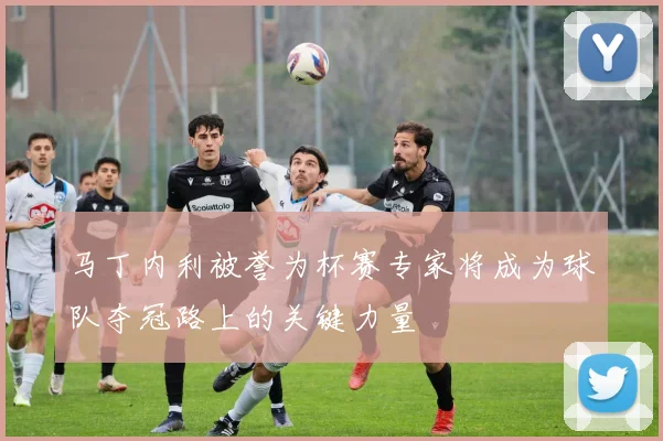 马丁内利被誉为杯赛专家将成为球队夺冠路上的关键力量