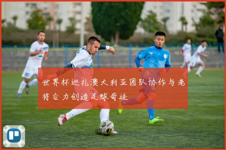 世界杯巡礼澳大利亚团队协作与老将合力创造足球奇迹